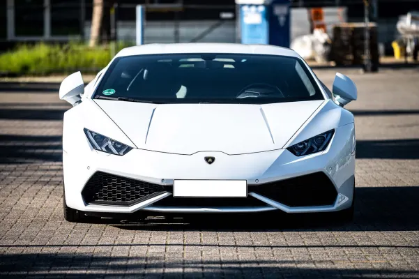 Casino Dogs Fortune Aplicación Android/iOS